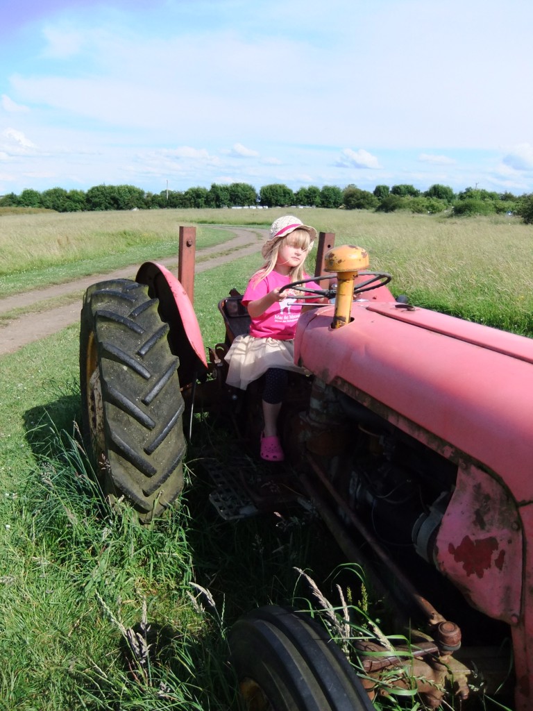 Dulcie Tractor Photo